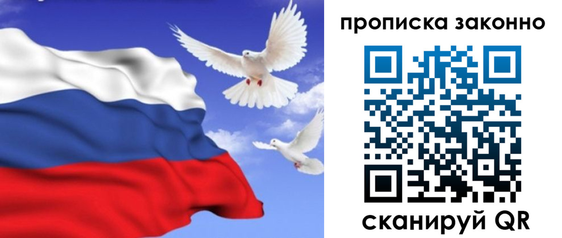 прописка в Каргополе